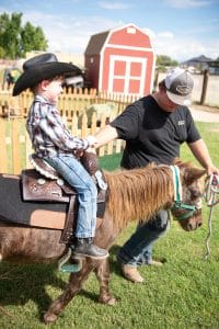 pony rides in queen creek