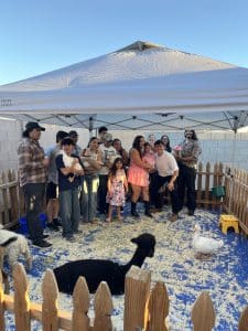Birthday Party Petting Zoo
