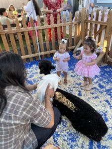 Petting Zoo Birthday Party