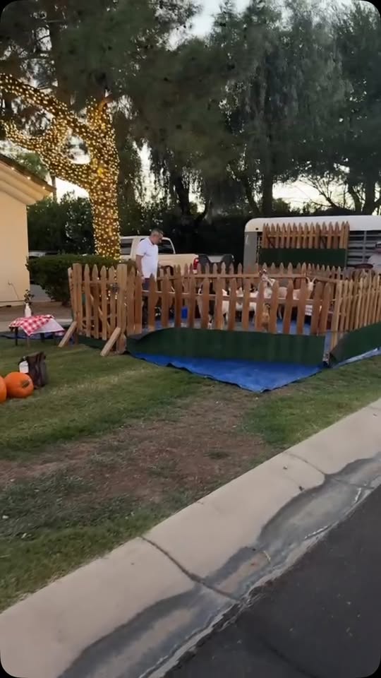 Arizona Barnyards